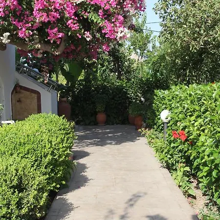 Apartment Paul's Garden
