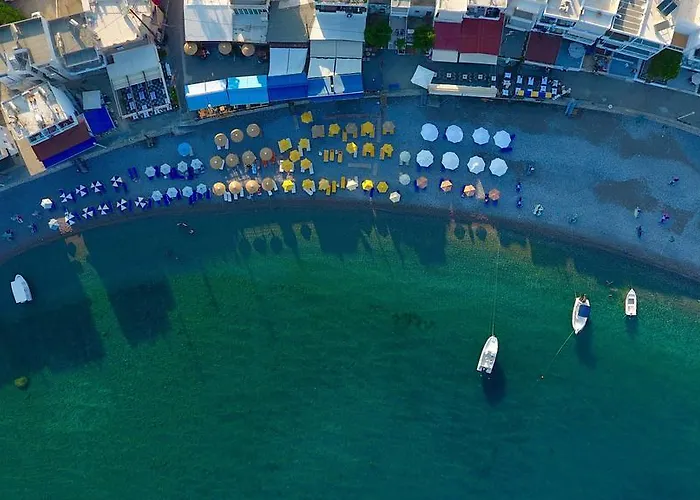 Paul's Garden Haraki