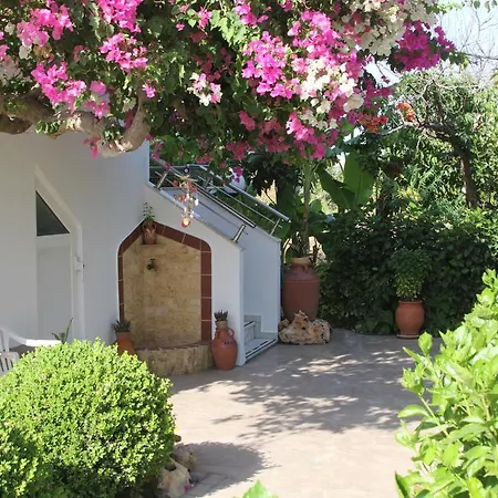 Paul's Garden Apartment