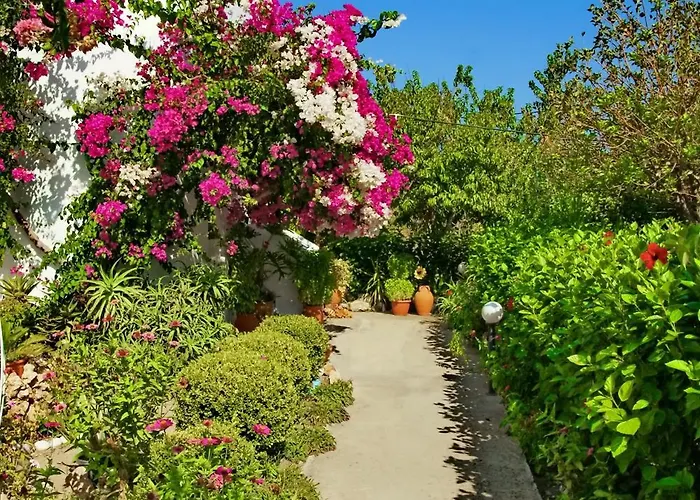 Paul's Garden Lejlighed Haraki