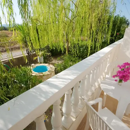 Paul's Garden