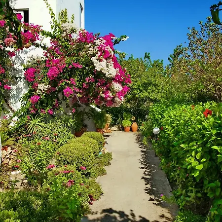 Paul's Garden Daire Haraki