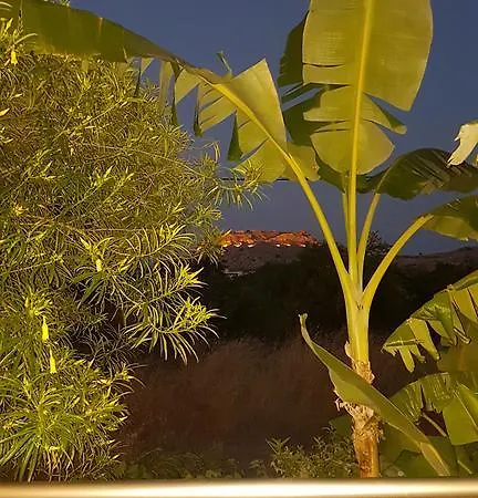 Daire Paul's Garden *