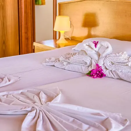 Daire Paul's Garden *